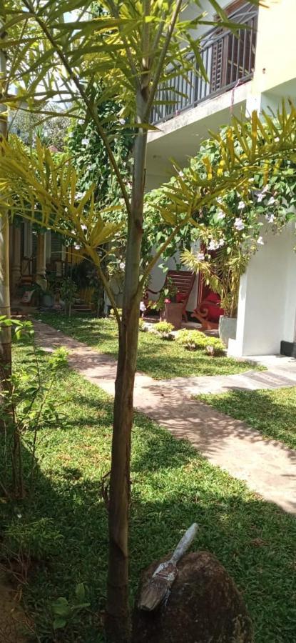 Mandara Rest Hikkaduwa Exterior foto