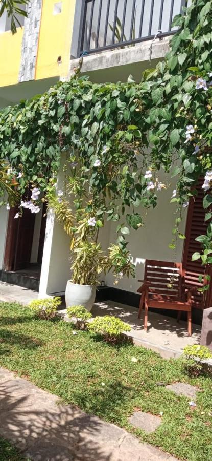Mandara Rest Hikkaduwa Exterior foto